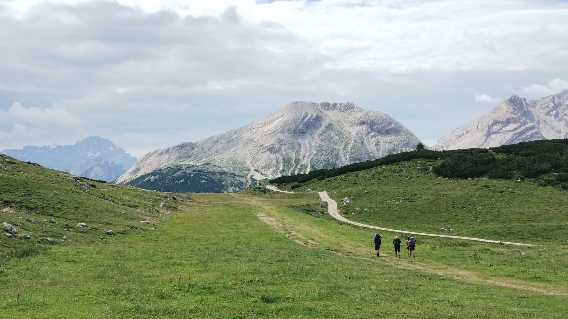 itagp0011-sennes