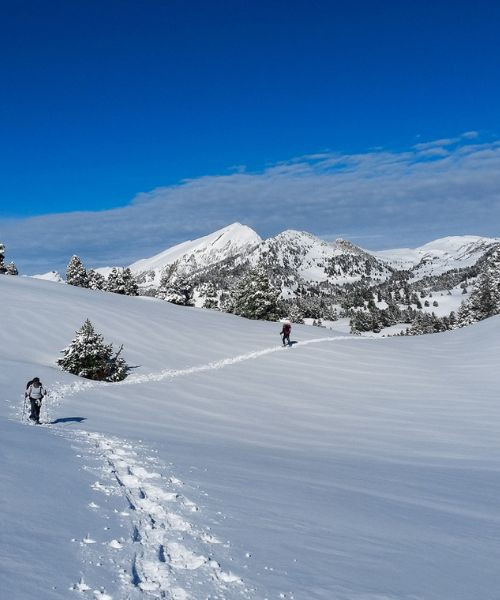 J2 Haut Plateaudu Jpg - Vercors