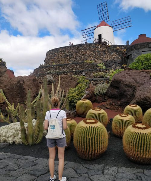 J2 Jardin de cactus à Guatiza