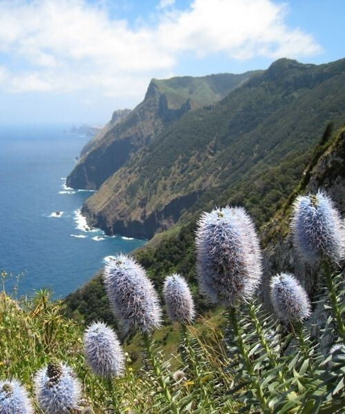 J3 Sentier De La Cote Nord Madere - Madère