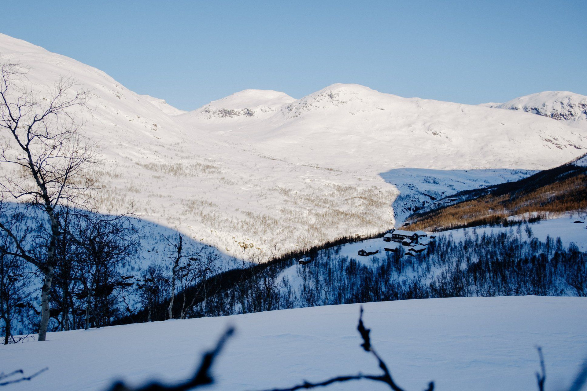 Montagnes enneigées et vallée boisée en hiver - Massif central - France