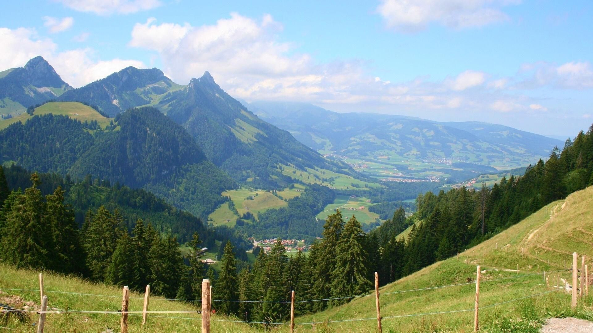 Vallée verdoyante et préalpes boisées - Gruyère - Suisse
