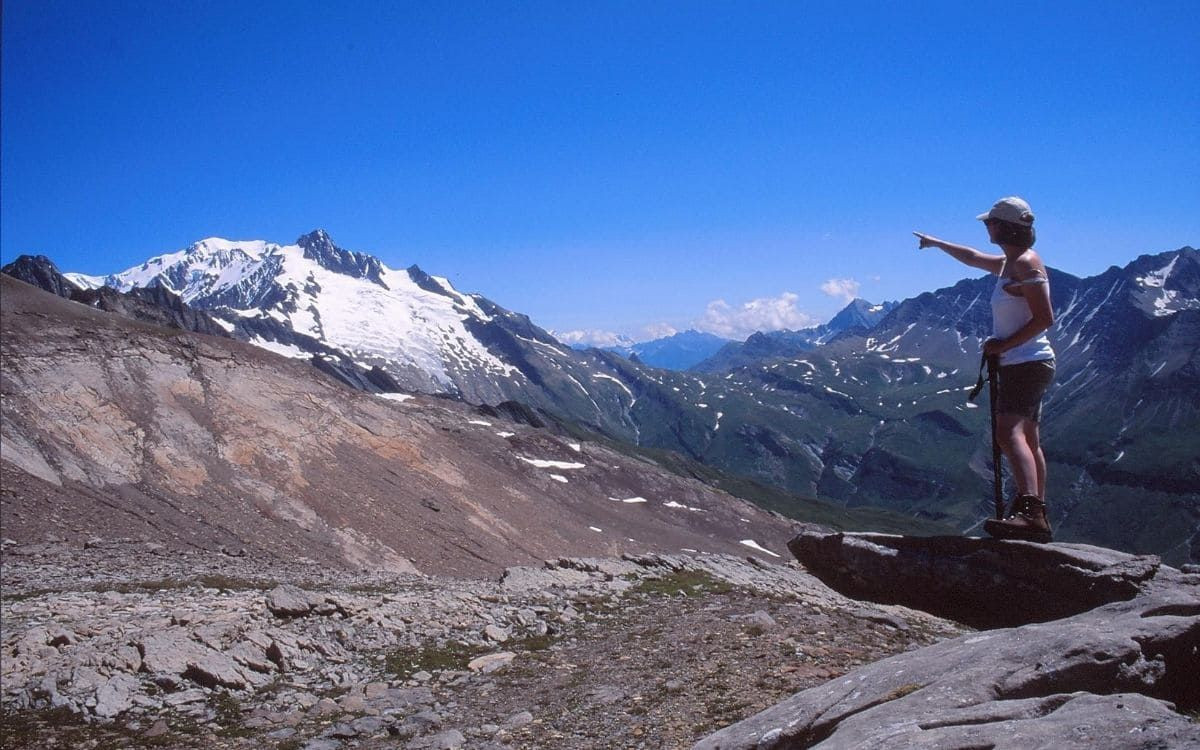 L'aiguille des Glaciers et le col de la Seigne vus du col des Fours