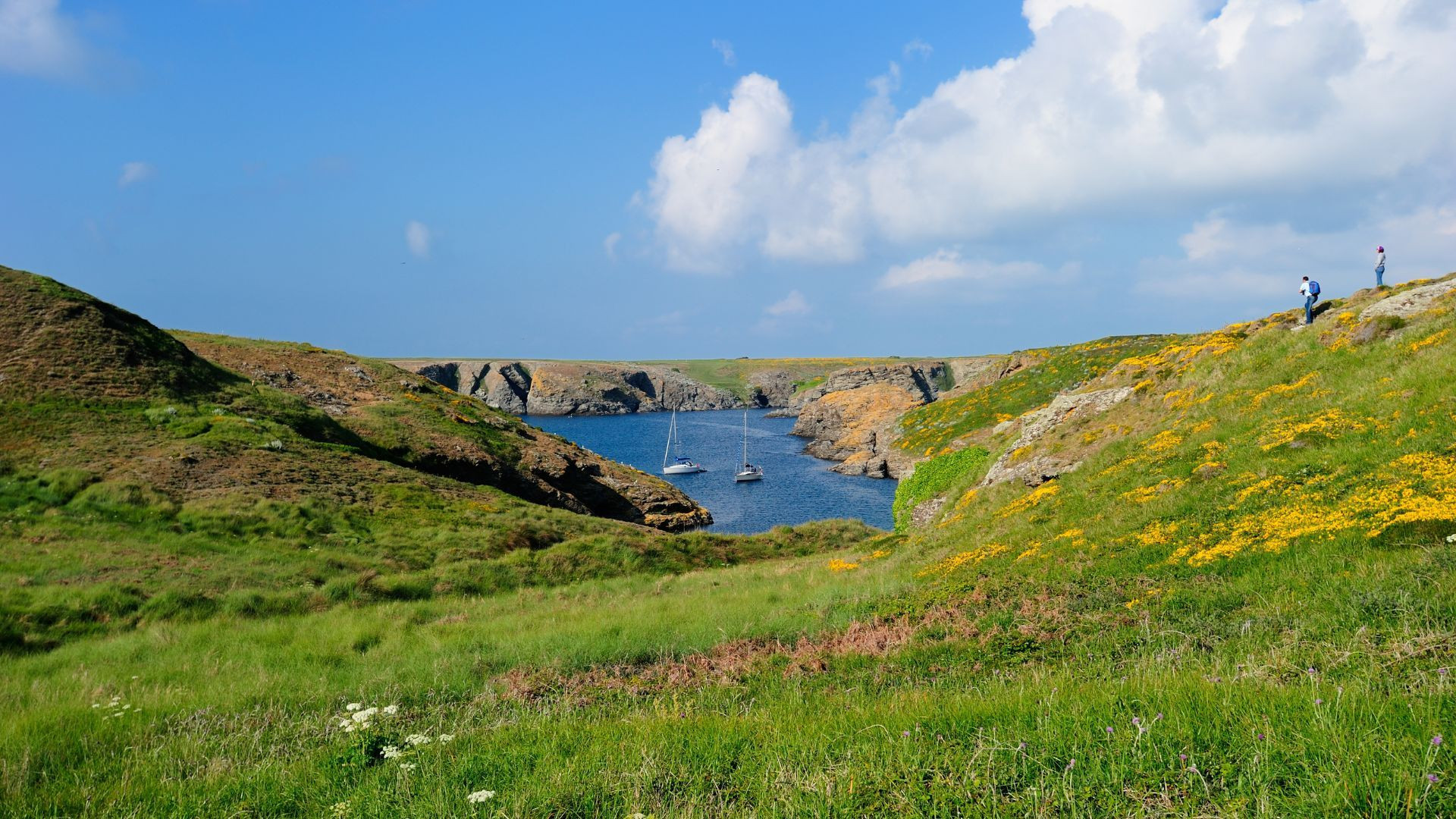 Voiliers dans l'anse de Ster - Belle-Île-en-Mer - Bretagne