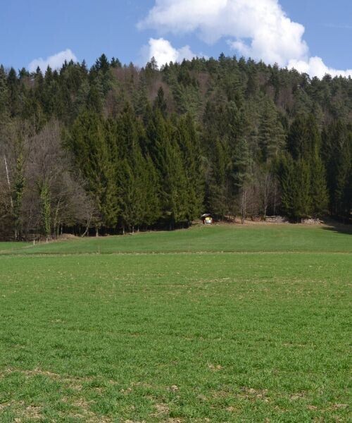 La Campagne Slovene