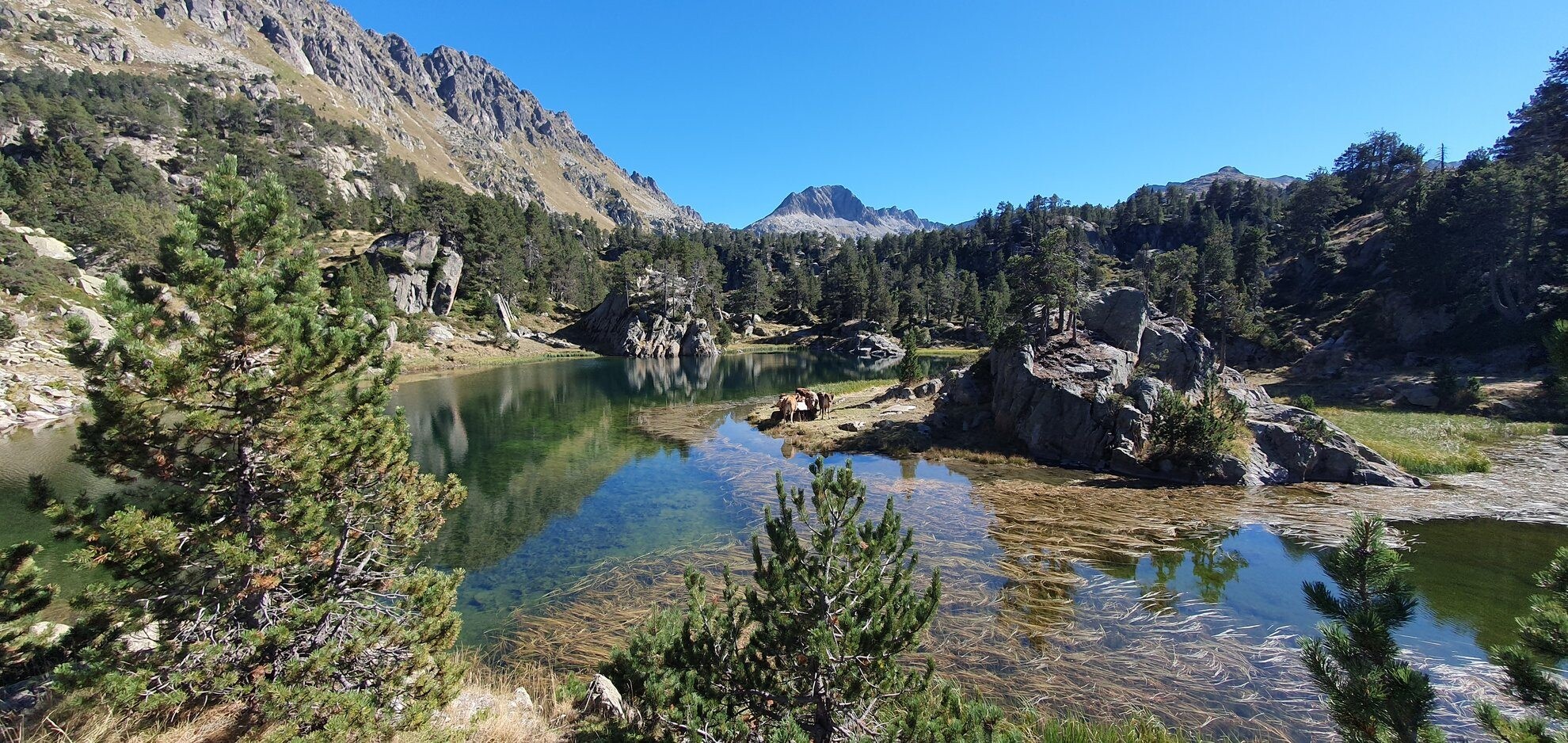 Lac d'altitude aux eaux claires - Coth de Baish - Pyrénées