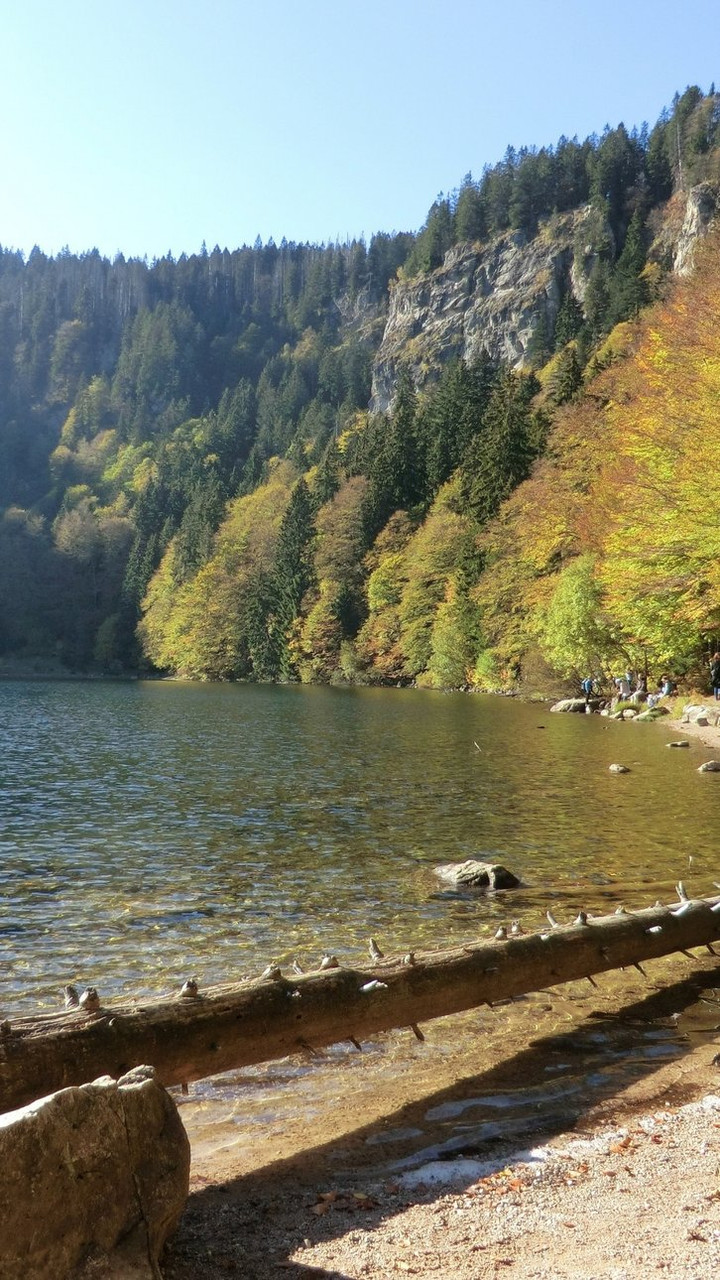 Lac de Feldsee (2)