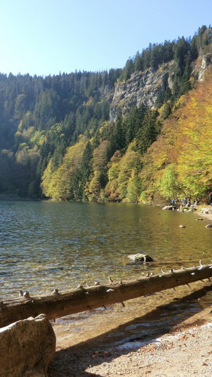 Lac de Feldsee