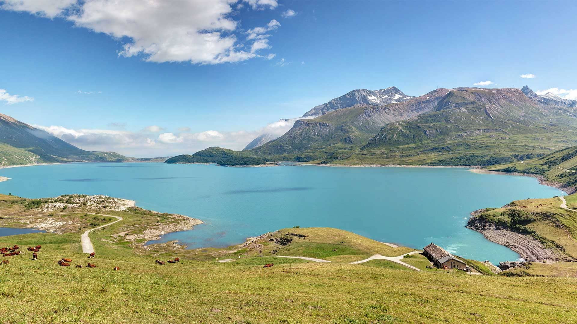 © Adobe Stock Lac turquoise du Mont-Cenis et pâturages - Savoie - France