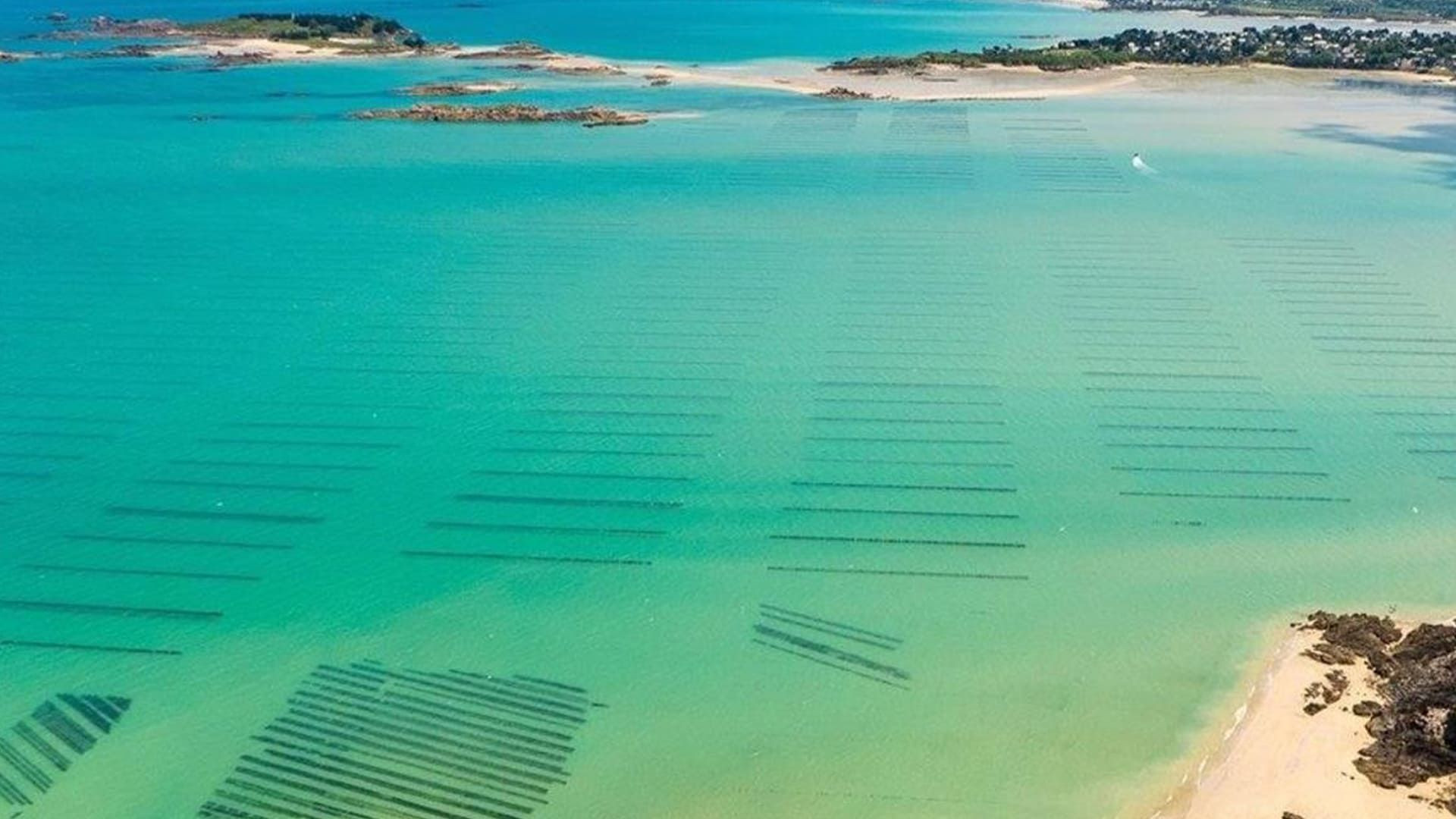 Parcs à huîtres dans un lagon émeraude - Bretagne - France