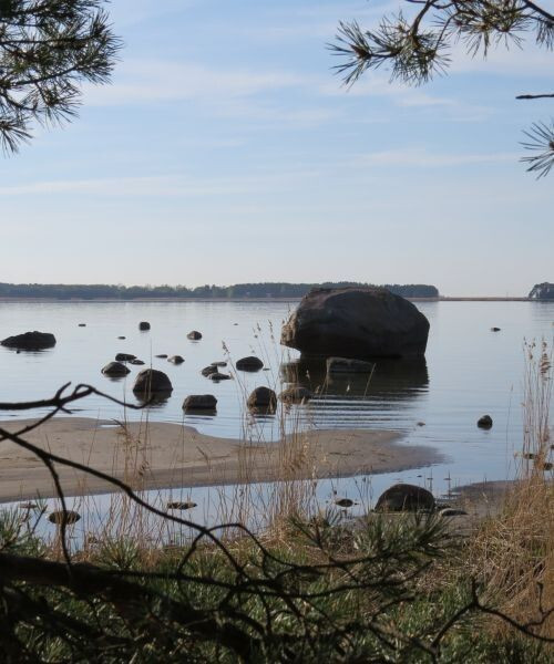 Parc national de Lahemaa - Estonie