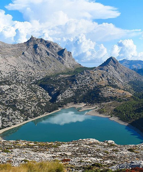 Lac Cuber