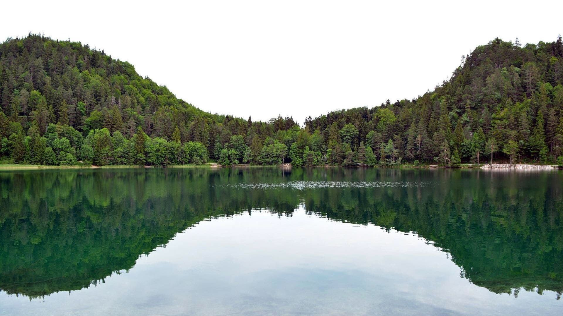 Reflets de la forêt sur le lac Alatsee - Bavière - Allemagne