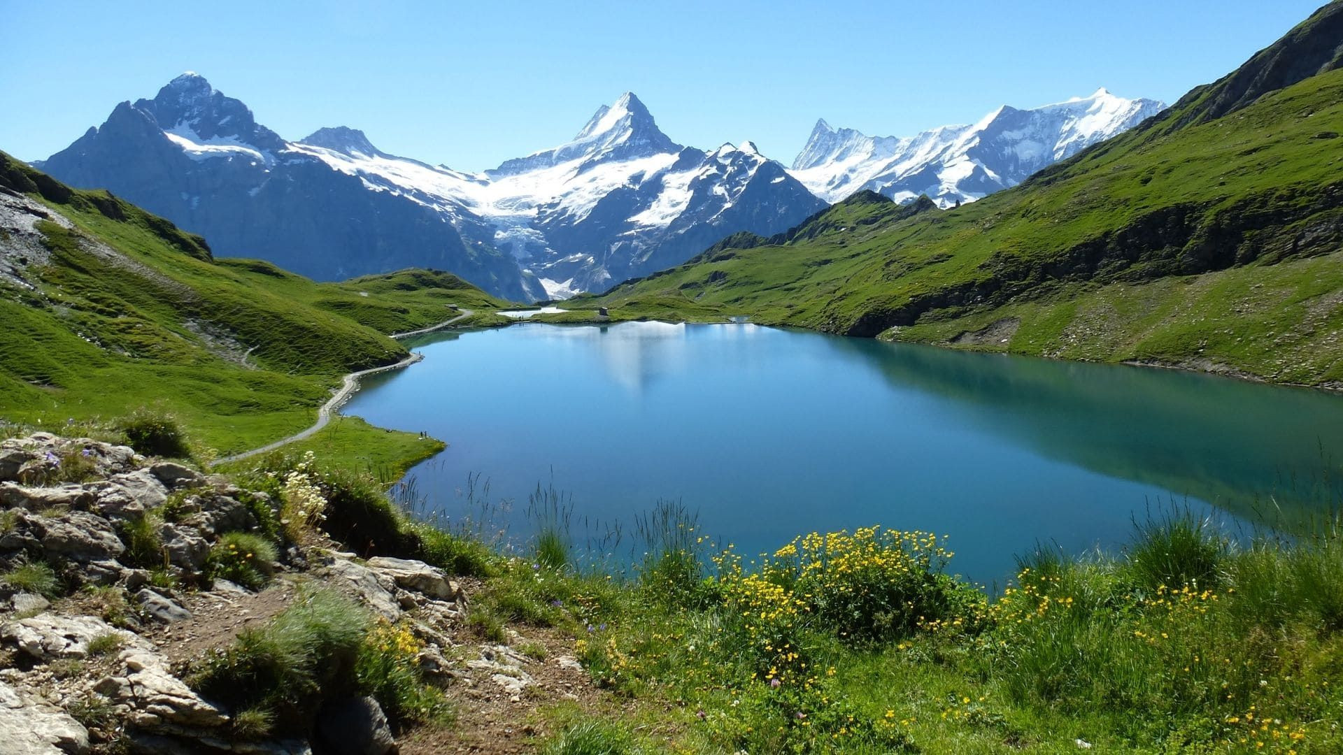 Lac alpin du Bachalpsee - Oberland bernois - Suisse