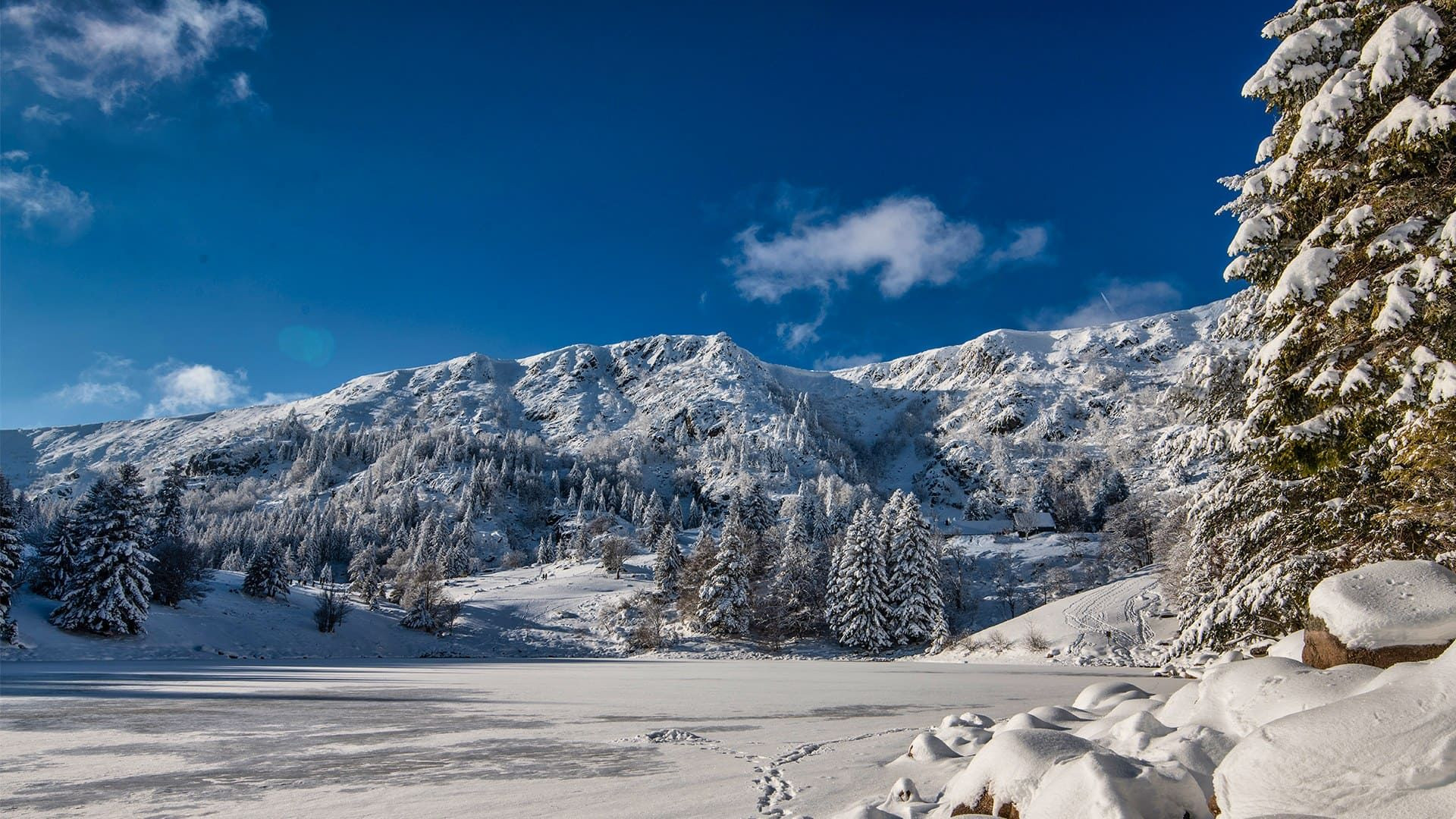 © Adobe Stock Lac de la Truite gelé sous la neige - Belledonne - Isère, France
