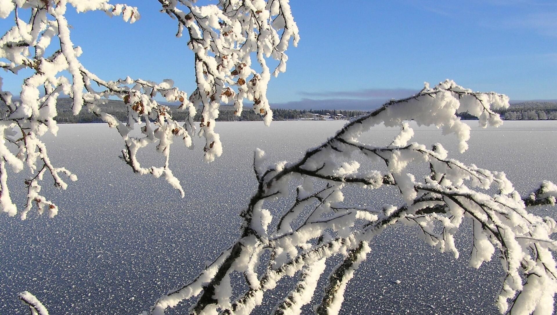Lac gelé et branches givrées - Finlande