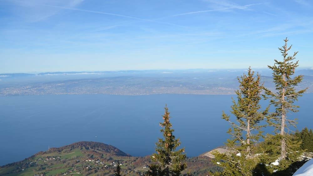 Vue sur le lac Léman depuis les hauteurs - Haute-Savoie - France