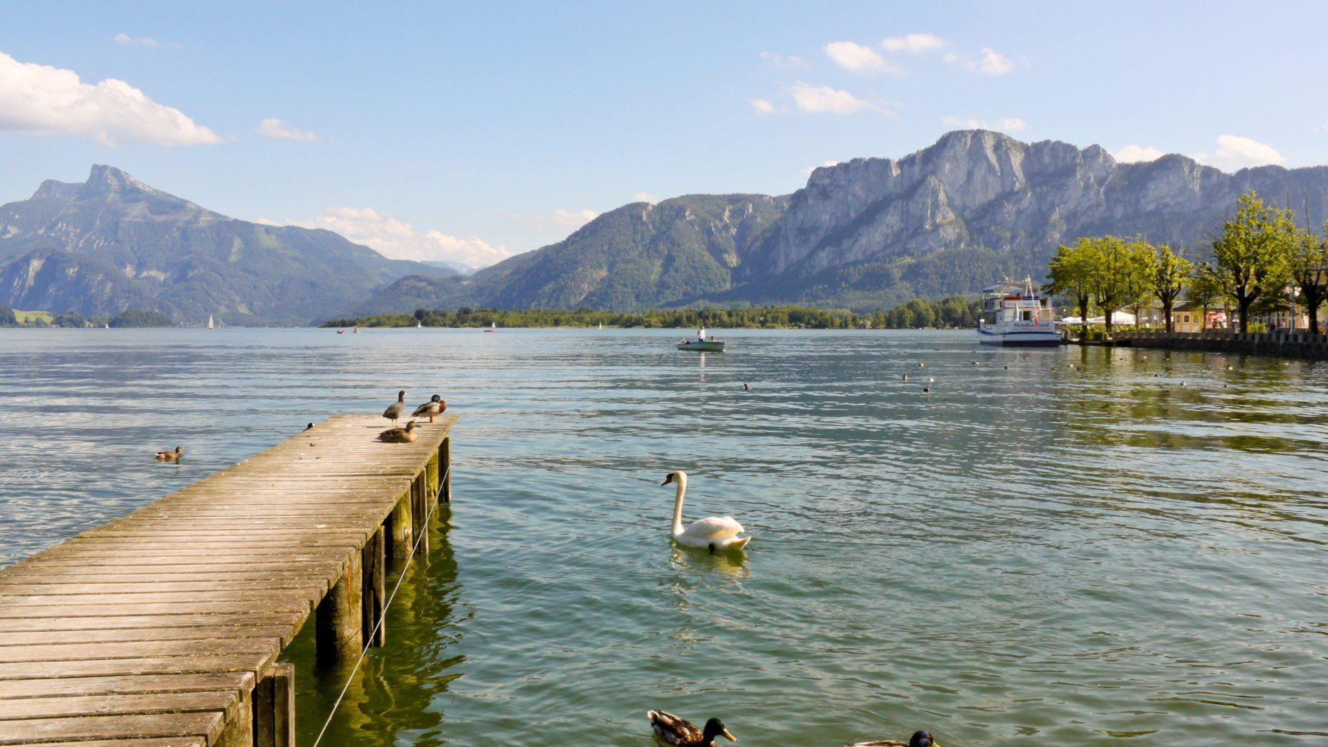Ponton et cygne sur le lac de Mondsee - Salzkammergut - Autriche