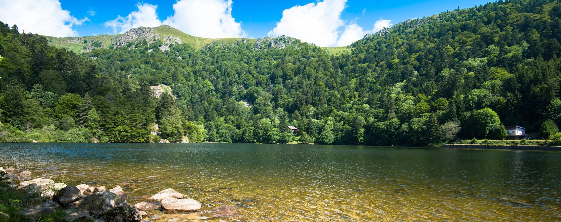 Lac forestier de montagne - Vosges - France
