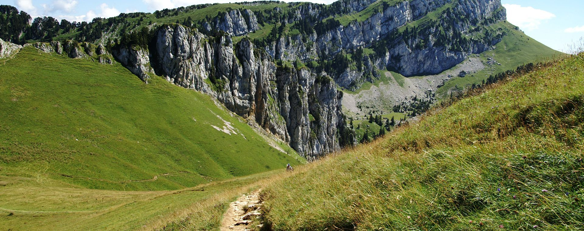 Sentier d'alpage sous les falaises calcaires - Chartreuse - France
