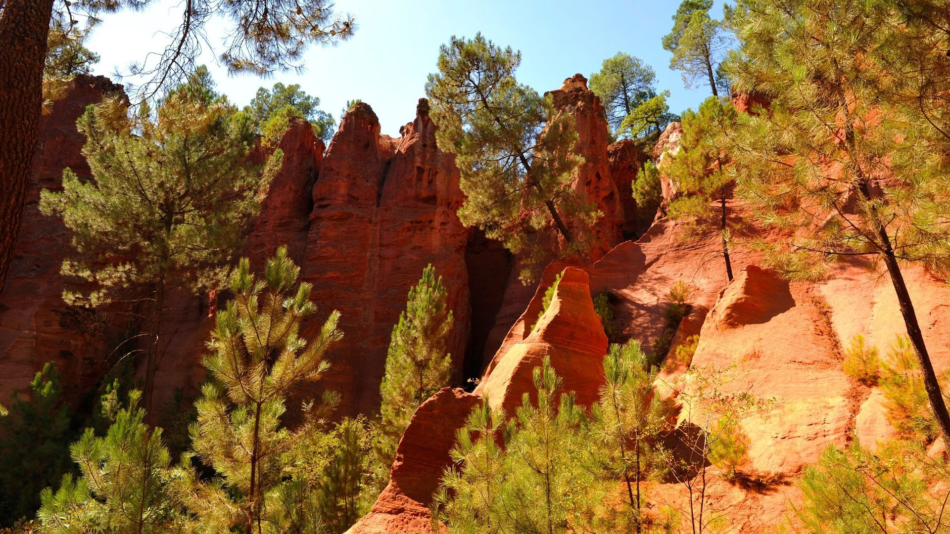 Falaises d'ocre et pins du Colorado provençal - Luberon - Provence - France