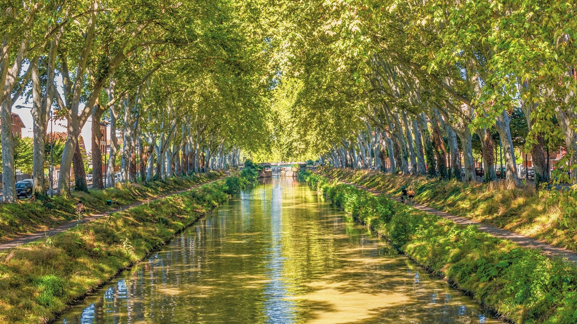 Canal du Midi bordé de platanes - Languedoc - France