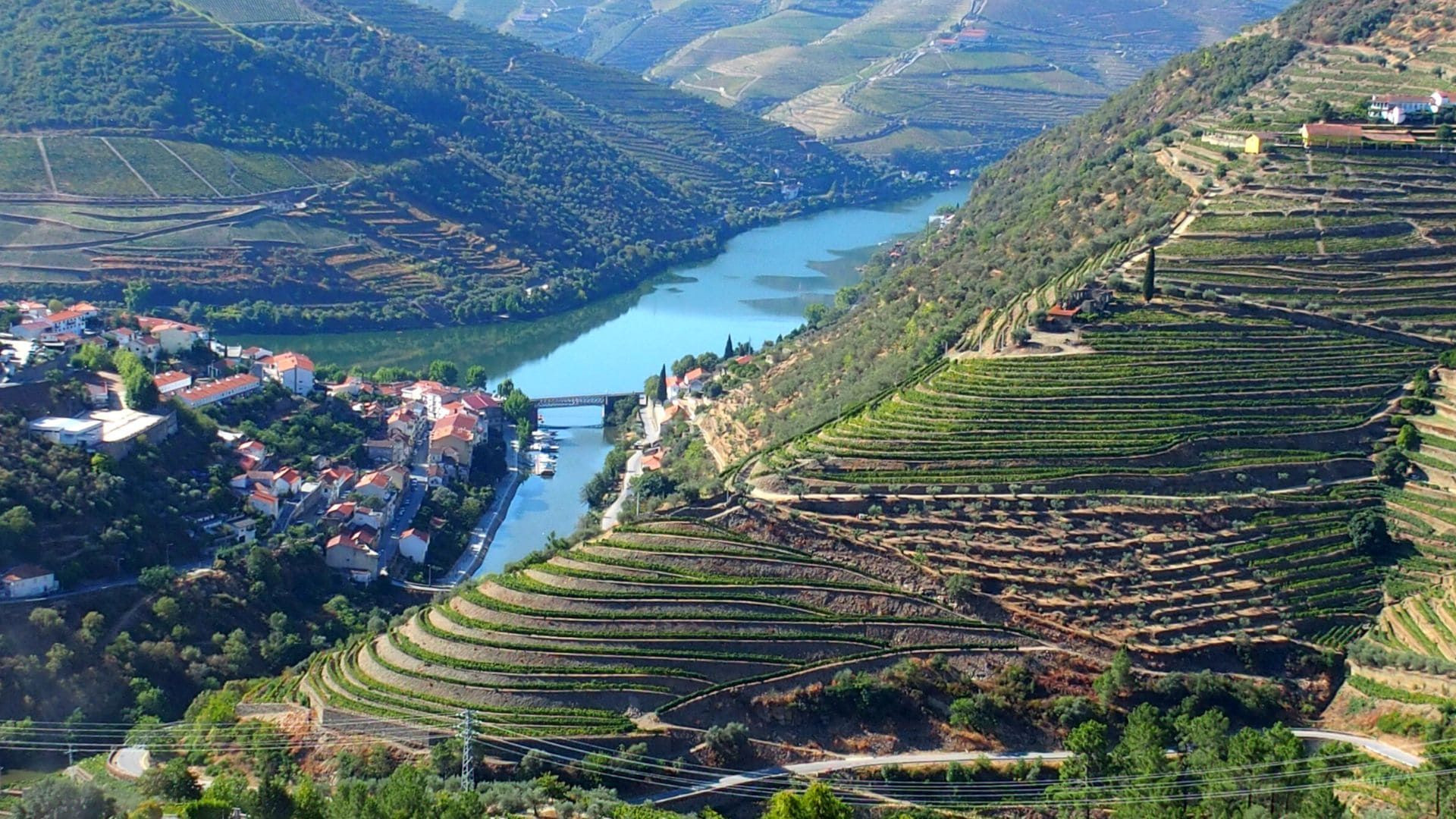 © Jean-Claude Praire Vignobles en terrasses de la vallée du Douro - Portugal