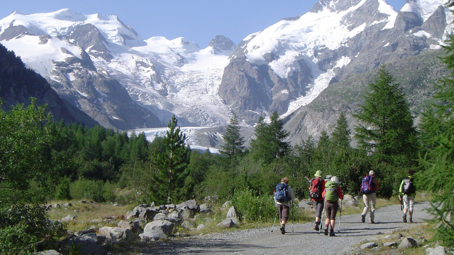 Randonneurs face au glacier du Morteratsch - Massif de la Bernina - Suisse