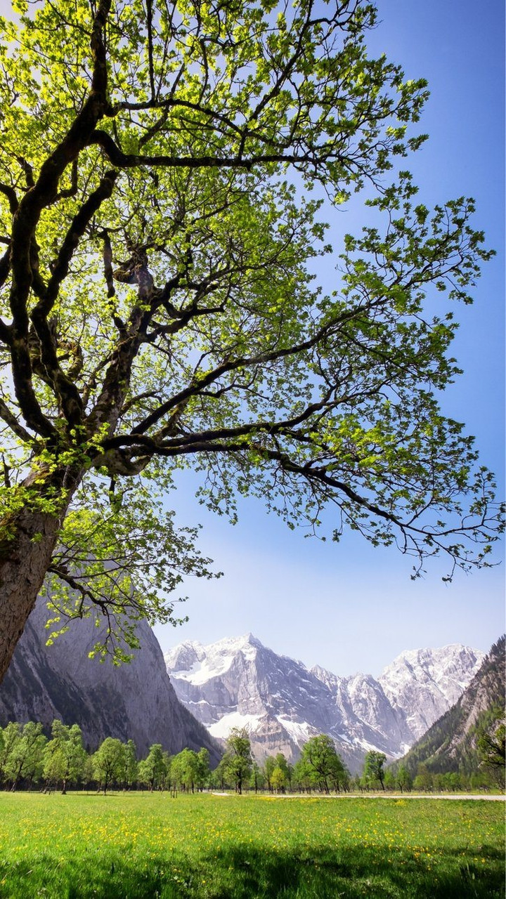Le parc naturel de Karwendel