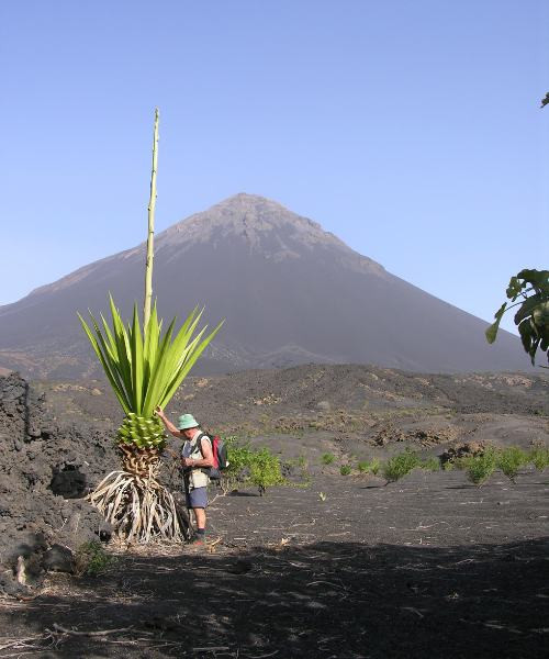 Le pico de Fogo