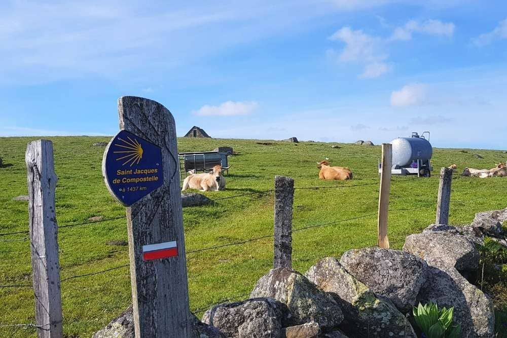 © Anne-Marie Billault Borne du chemin de Saint-Jacques sur le plateau de l'Aubrac - Aubrac - France