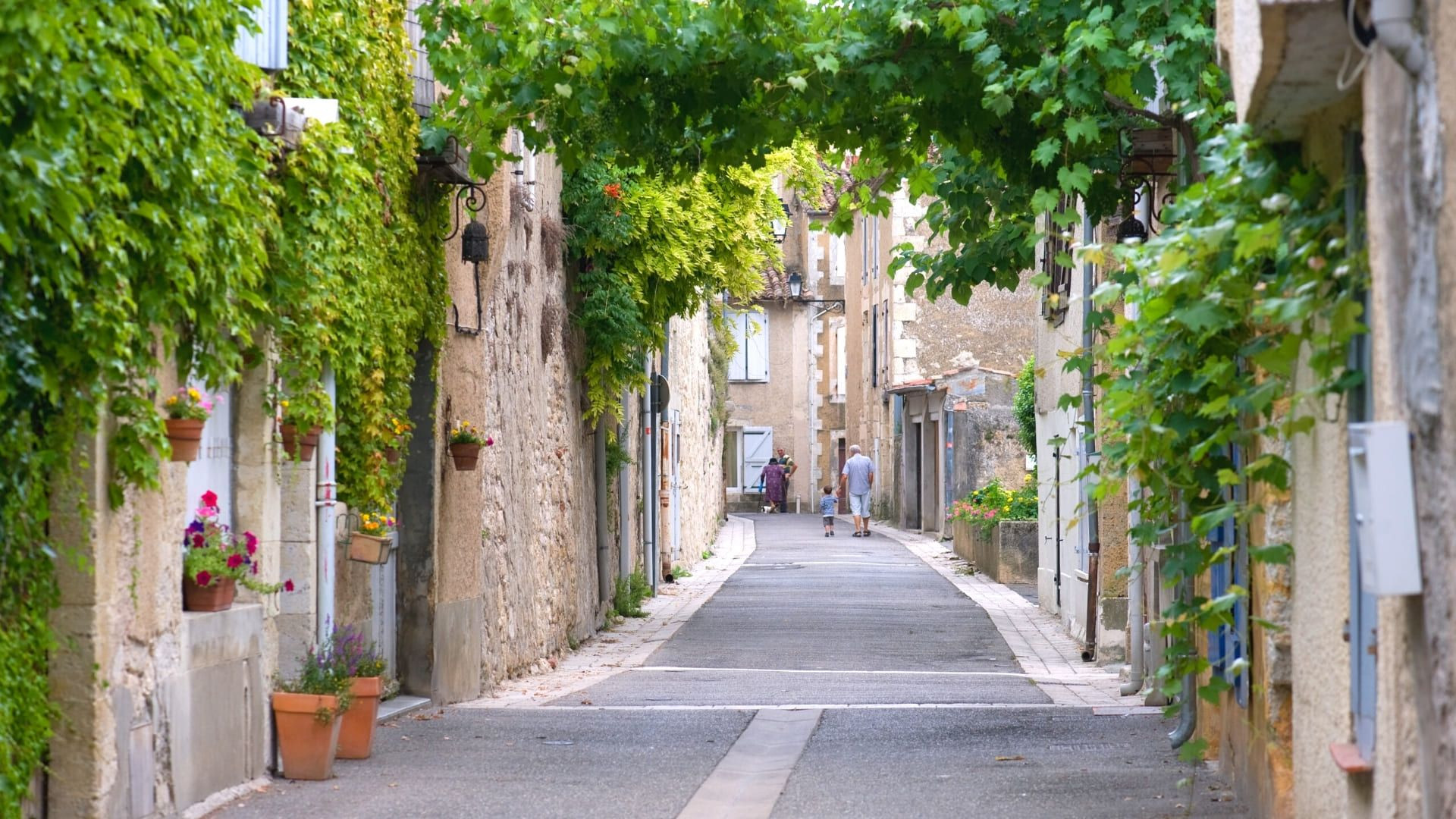 Ruelle ombragée de vignes à Lectoure - Gers - France