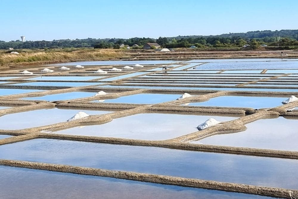 Guérande salt marshes in Loire-Atlantique, France