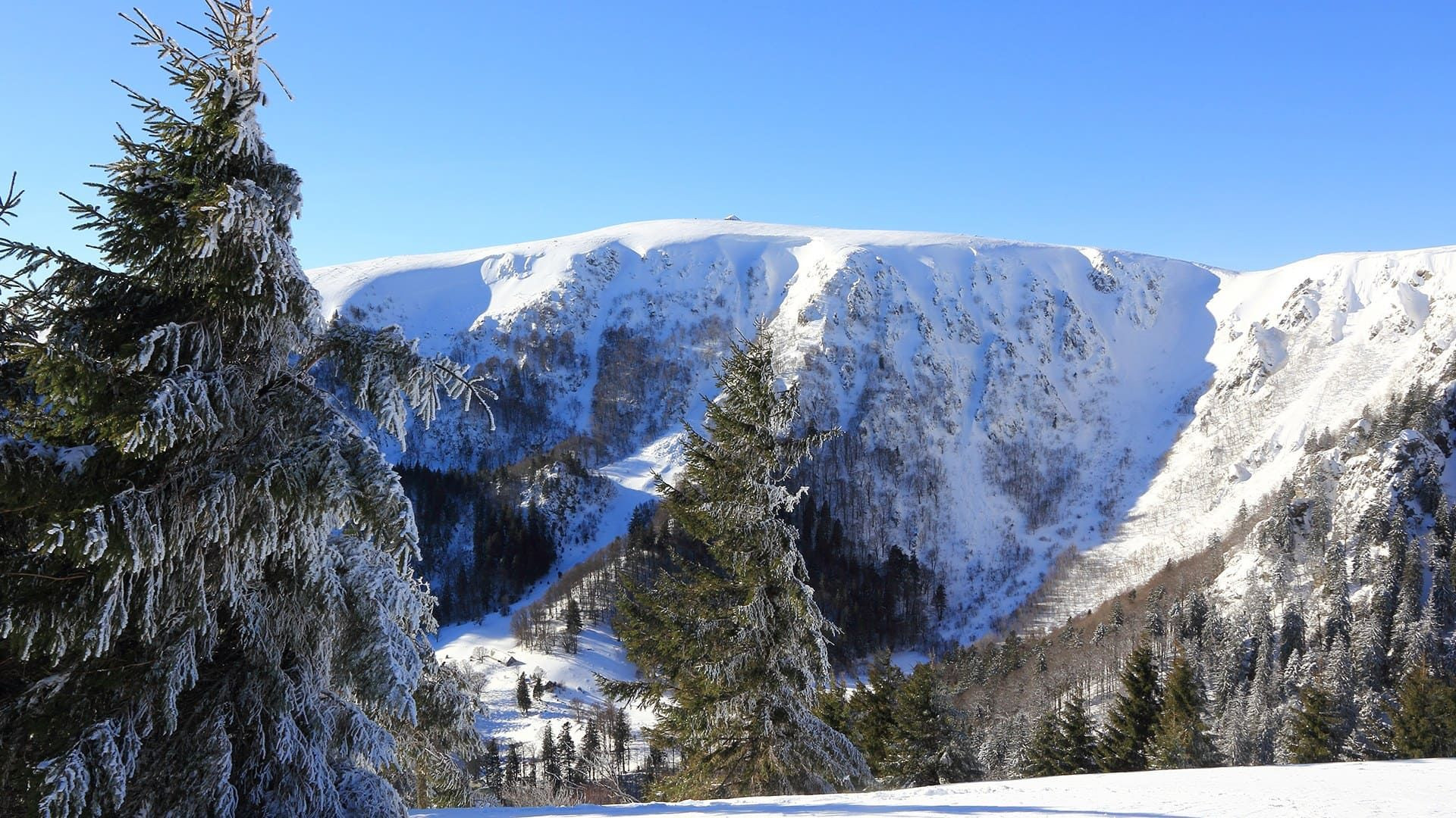 © Adobe Stock Sapins givrés et cirque enneigé - Vosges - France