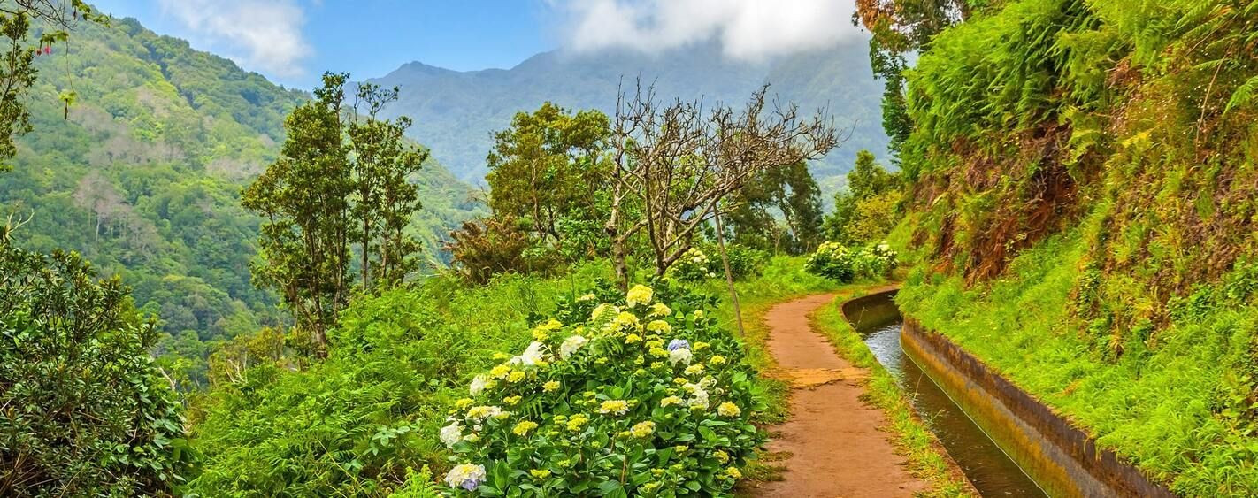 Levada - Madeira - Portugal