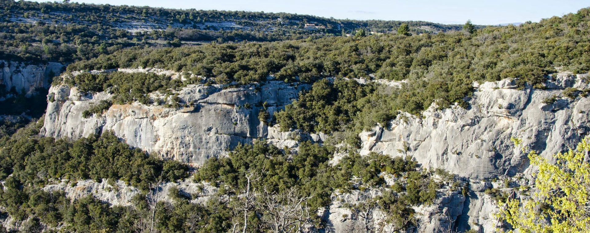 Falaises calcaires et garrigue - Fort de Buoux - Luberon, Provence