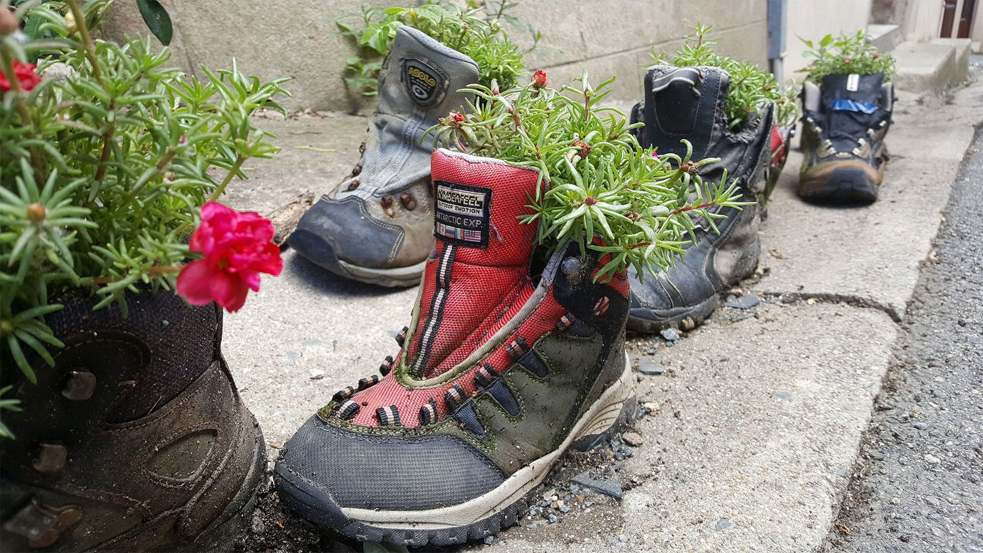 © S. Delaunay Vieilles chaussures de randonnée fleuries - Livinhac - France
