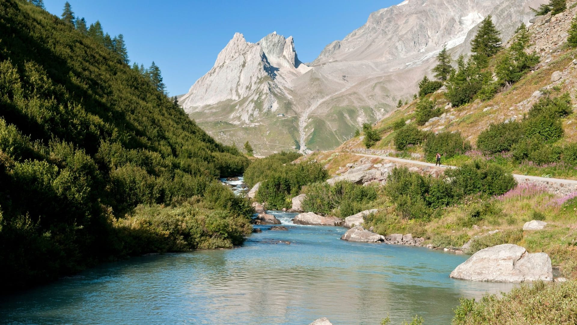 Rivière glaciaire dans une vallée alpine - Alpes - France