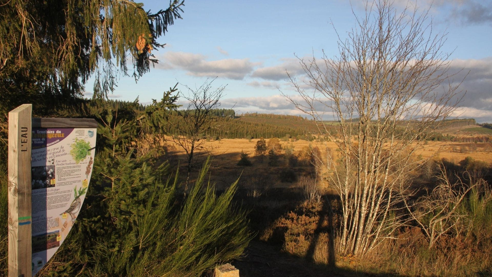 Tourbière de Longeyroux en automne - Plateau de Millevaches - Limousin, France