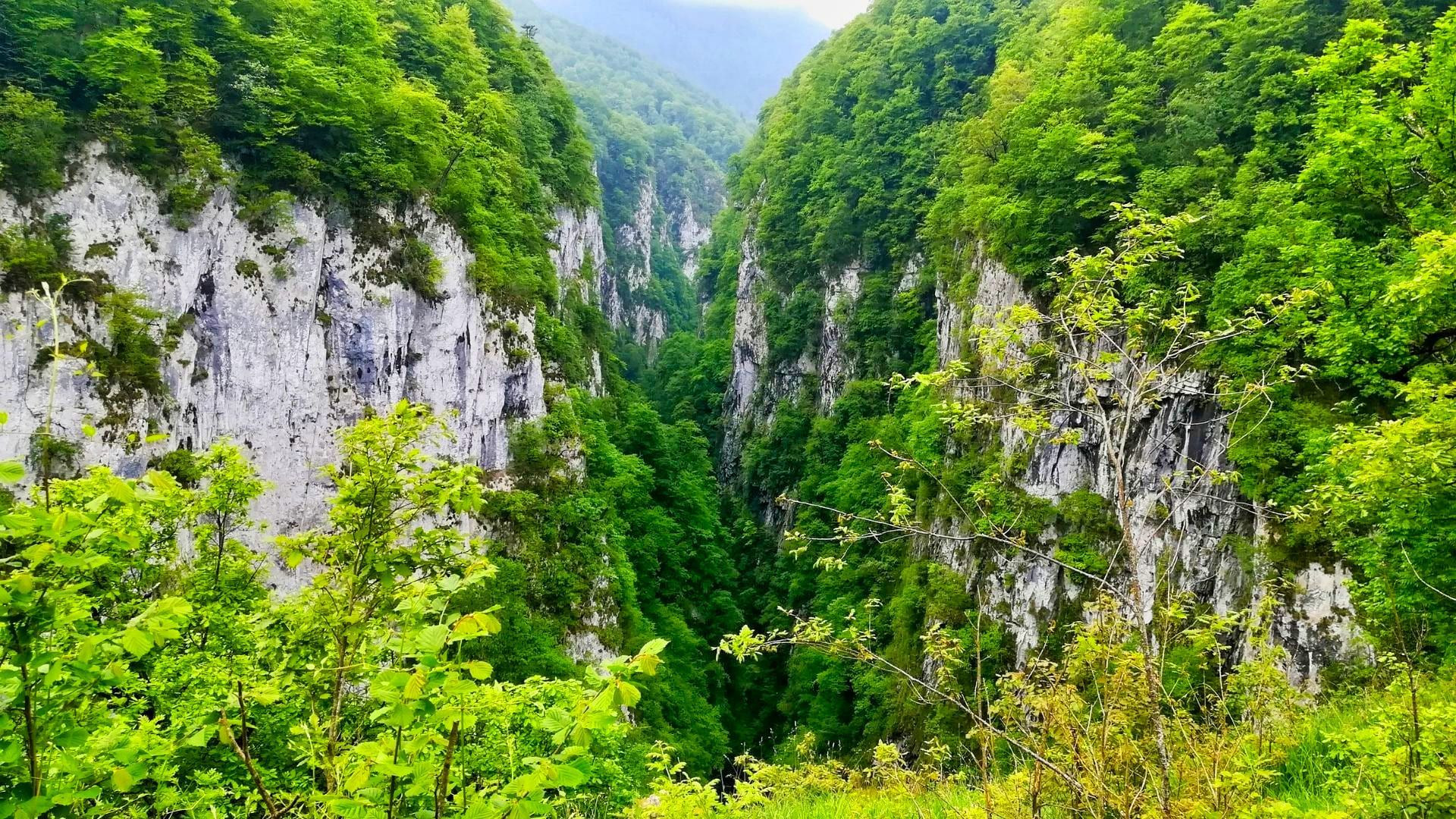 Gorges du Loup boisées - Alpes-Maritimes - France