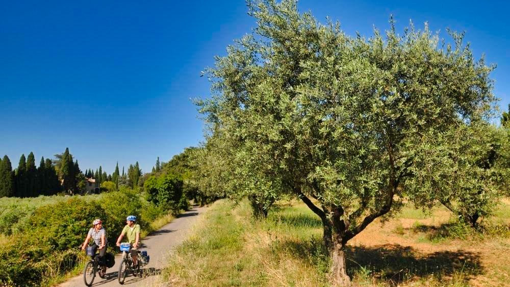 luberon-a-velo-luberon-a-velo-coll.-vpa-t.-bronner-1