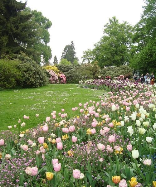 Mainau Lile Aux Fleurs C Estelle Torterotot 2 0 Jpg