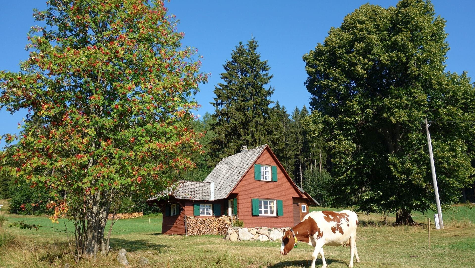 © Raymond Chabanier Maison Hinterzarten C Raymond Chabanier - Allemagne