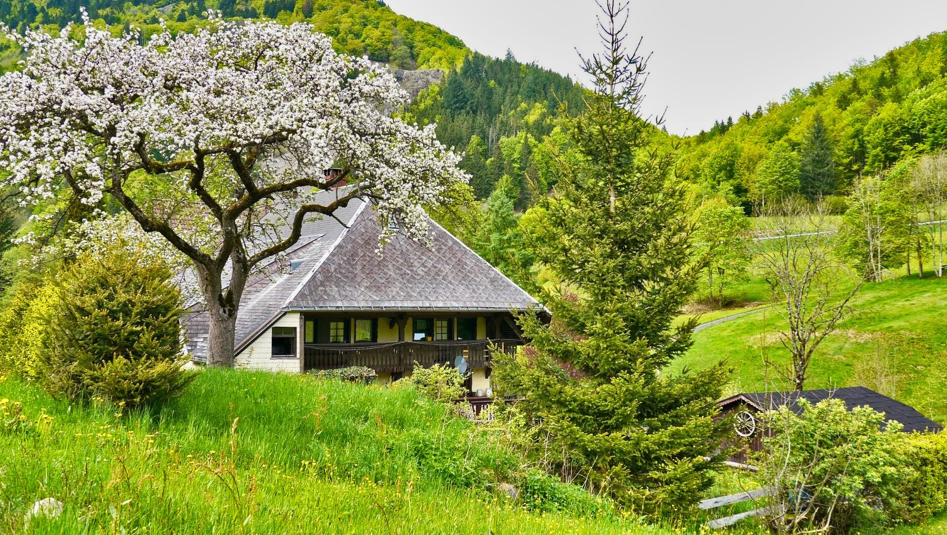 © Adobe Stock Ferme traditionnelle au toit de chaume au printemps - Forêt-Noire - Allemagne