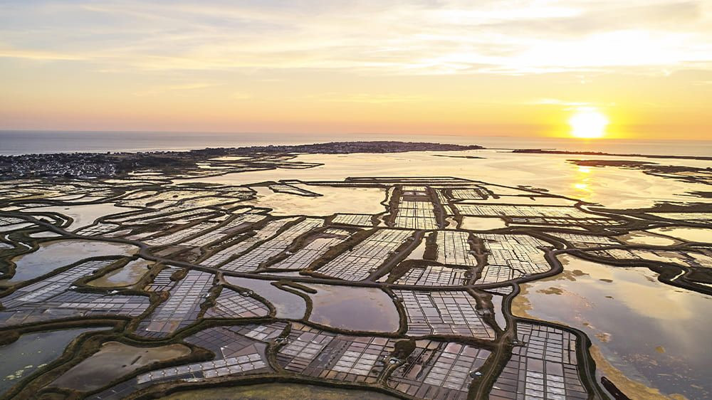 Marais salants au coucher de soleil vus du ciel - Guérande - Loire-Atlantique - France