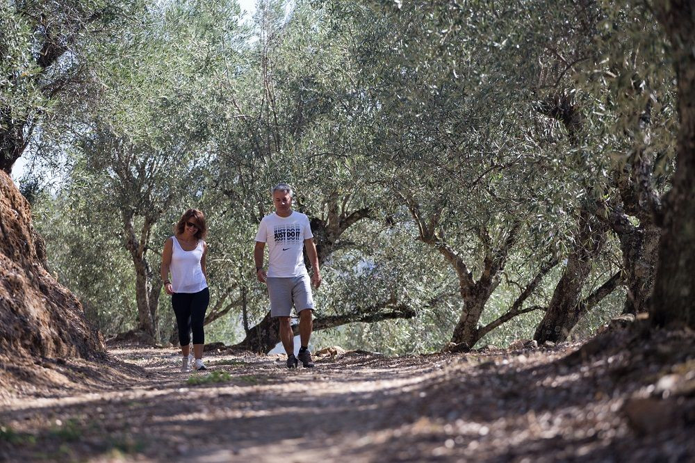 © Authentic Trails Marcheurs sous les oliviers de la vallée du Douro - Portugal