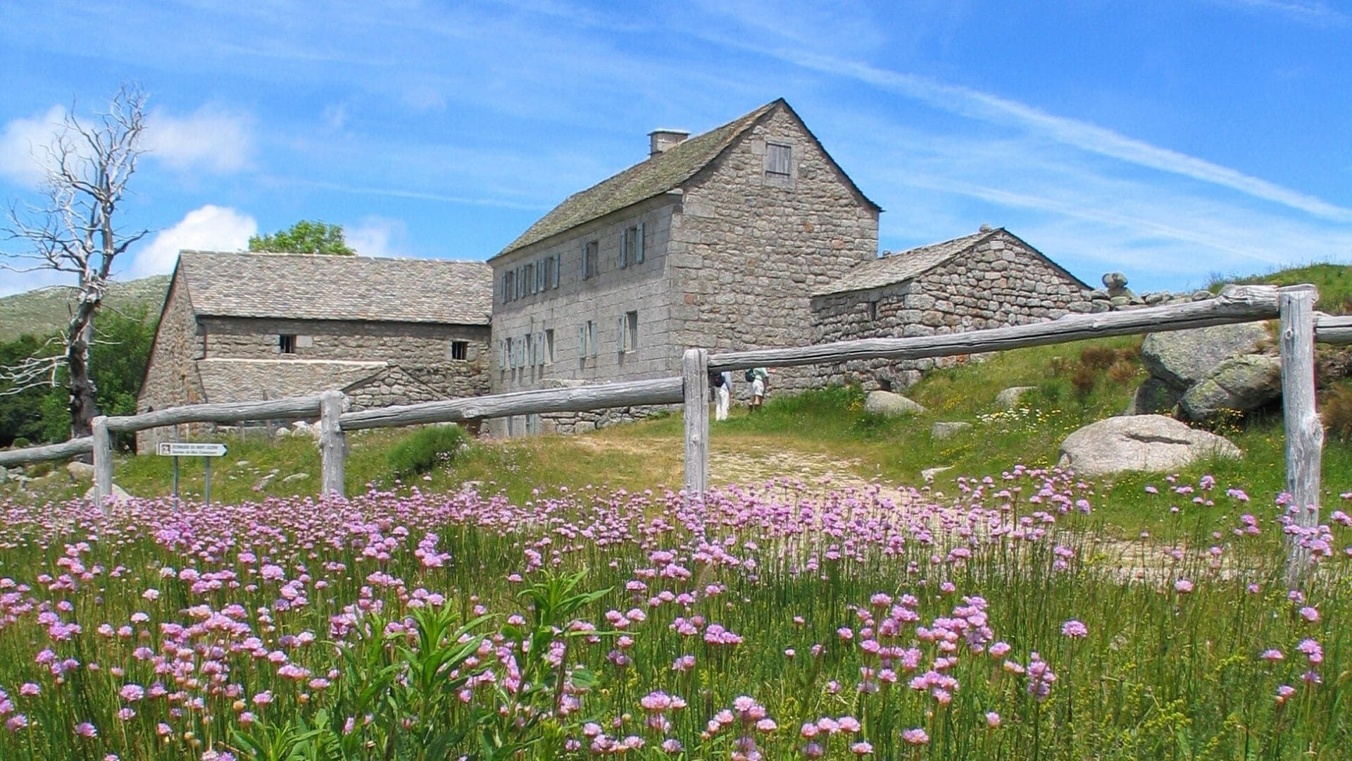 Ferme en pierre du Mas de la Barque parmi les fleurs - Cévennes - France