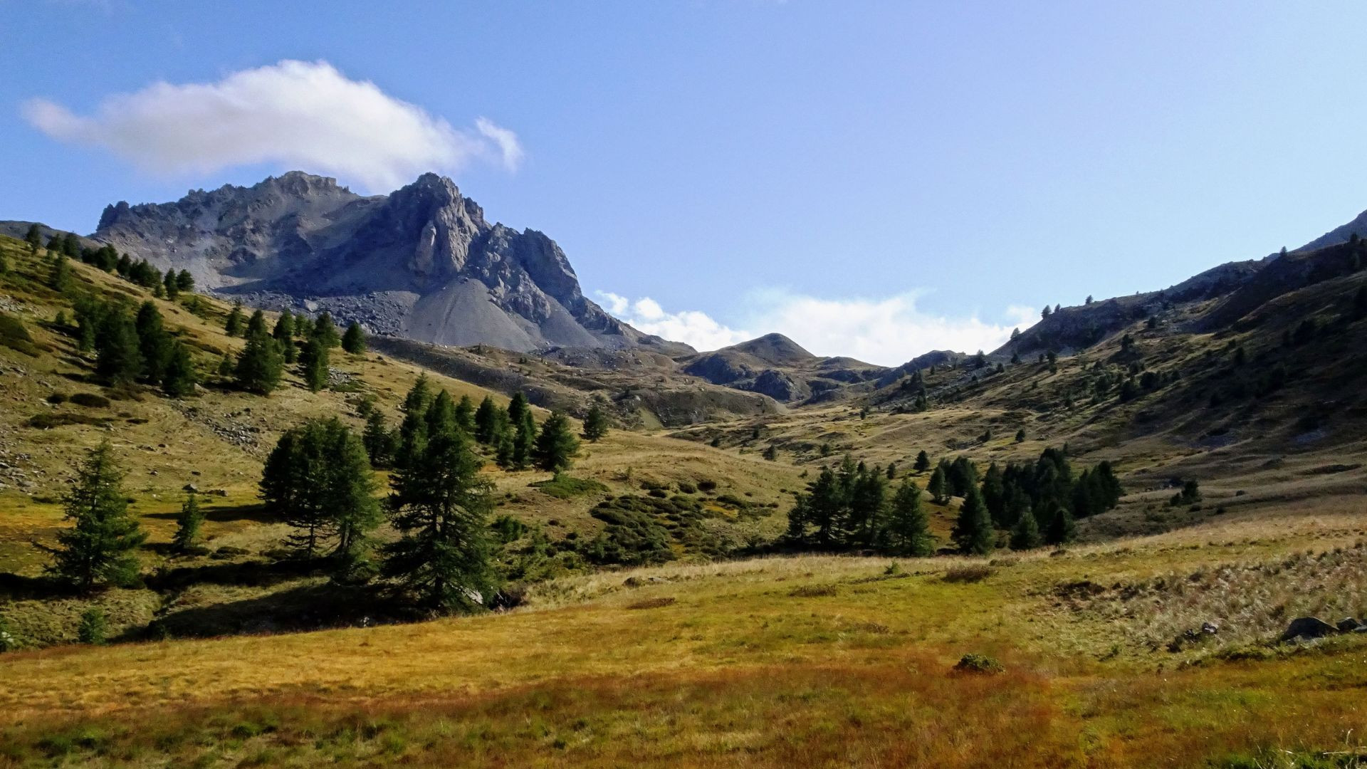 Massif des Cerces et mélèzes - Alpes - France