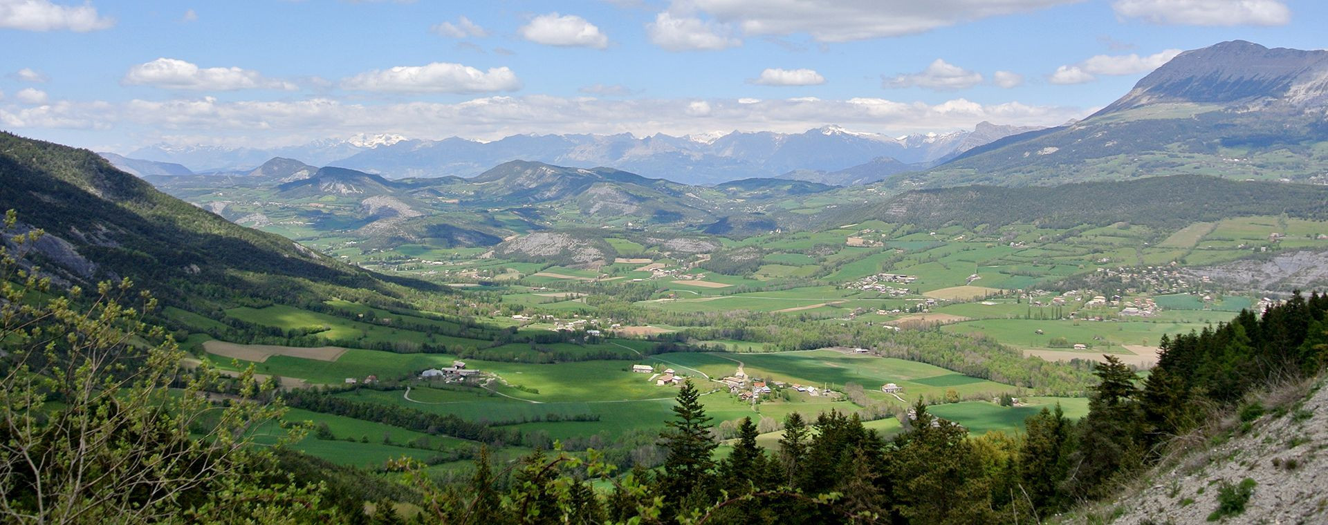 Vue panoramique sur le massif des Monges - Alpes-de-Haute-Provence - France