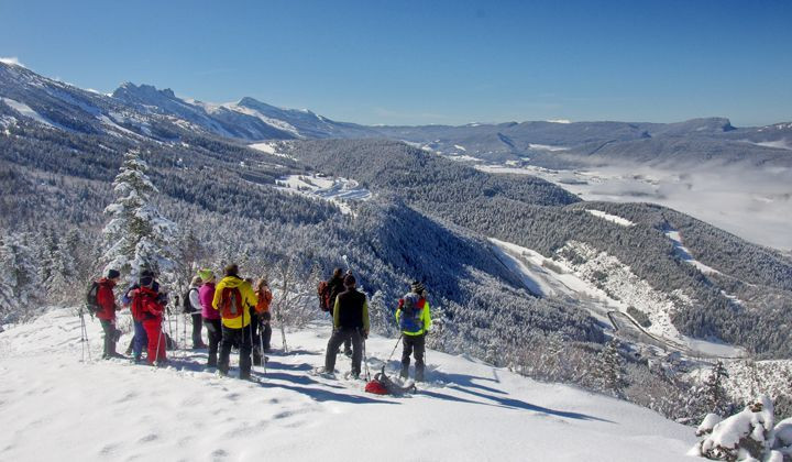 Randonnée en raquettes face au massif du Vercors - Lans-en-Vercors - France